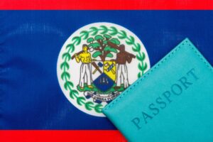 Online Immigration System for Travelers to Belize