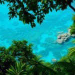 Belize 2025: Discover Rainforests and Reefs This Winter