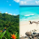 Eco-Adventures: Discover Belize and Costa Rica’s Nature