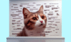 Cat Meme Strategies for Achieving Feline Internet Fame