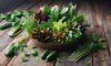 Summer Salad: Your Vibrant Guide to Fresh Preparations