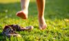Orthopedic Effects of Barefoot Footwear on Children’s Feet