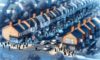 House Clearance Costs: Key Negotiation Tips for the UK