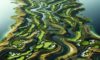 Golfing Destination: Discover Bellville Golf Club