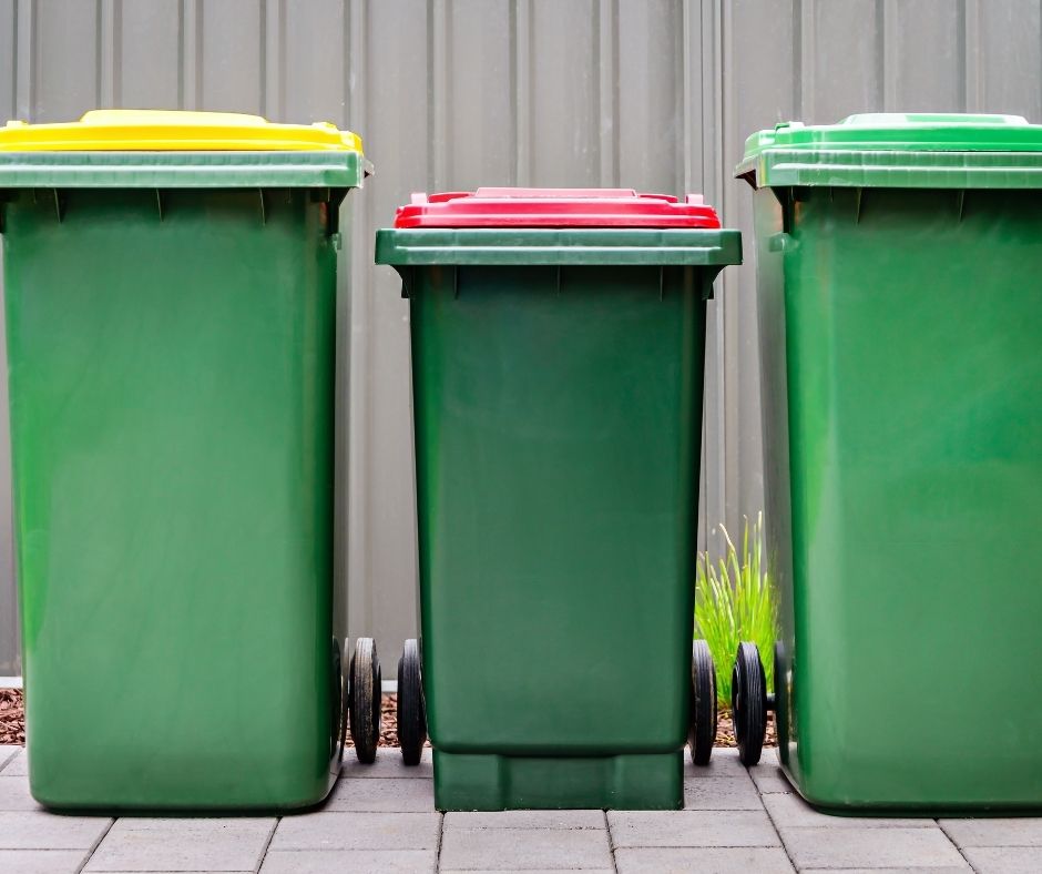 Maggots And Rubbish Bins