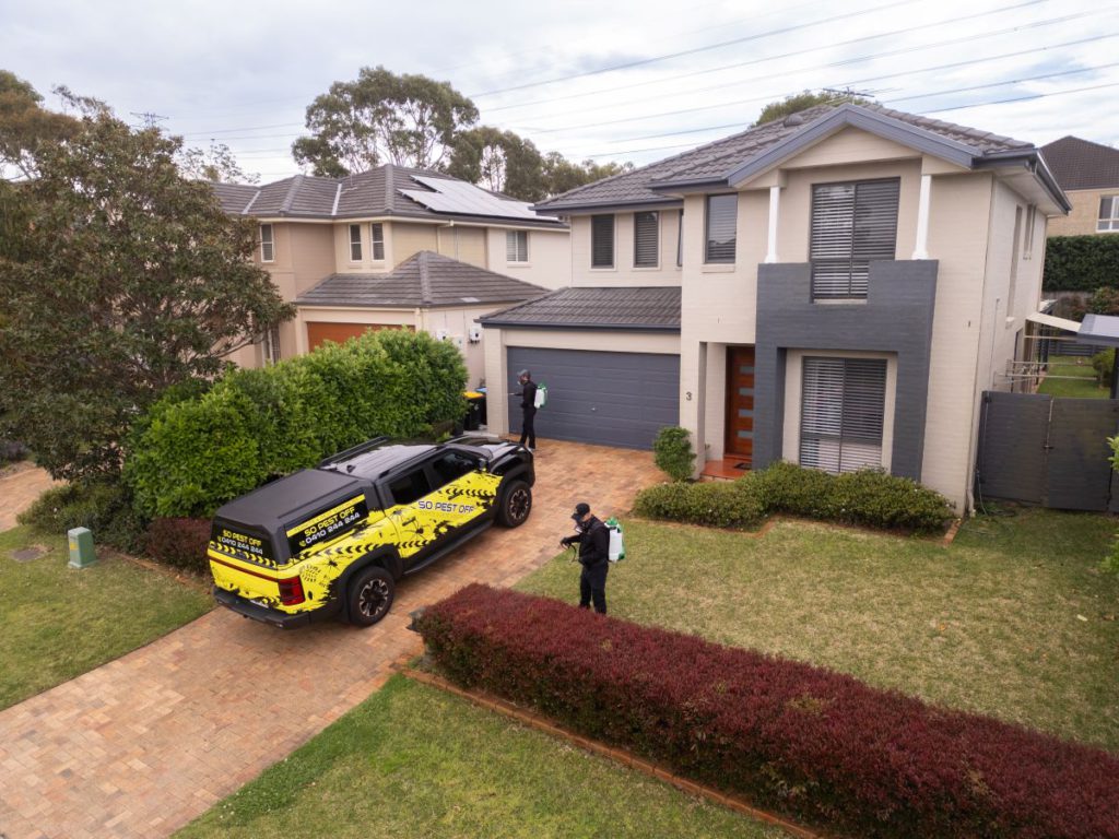 Pest Control Solutions for a Bug-Free Home Environment