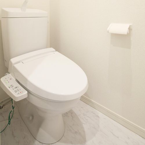 Backflow Prevention for Essential Bidet Use in Illawarra