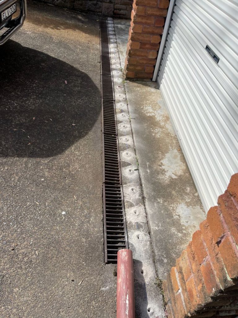 Termite Protection: Find the Right Coverage for Your Home